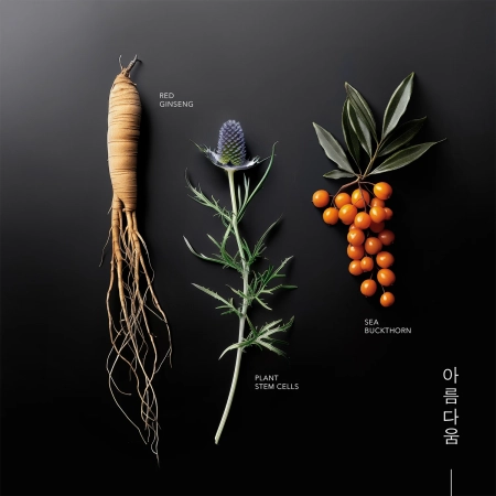 KORIKA - Korean Heritage Ginseng & Marine Stem Cells Cell Renew Eye Cream - Paakių Kremas - 15ml