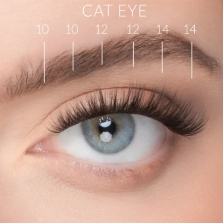 Nanolash - Stick & Go Pre-Glued Lashes - Blakstienų Kuokšteliai su Klijais - Harmony - 1 pak.