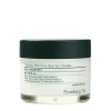Pyunkang Yul - Calming Moisture Barrier Cream - Raminamasis drėkinamasis kremas - 50ml
